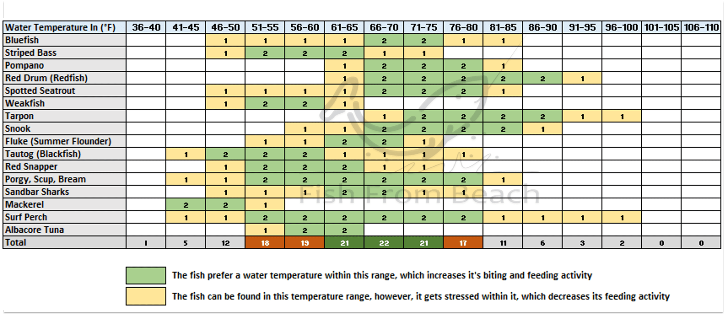 The Best Water Temperature For Surf Fishing Fish From Beach