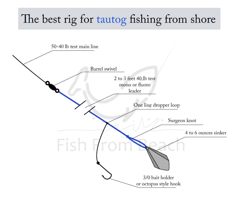 Rigging For Tautog: Precision Matters FishTalk Magazine