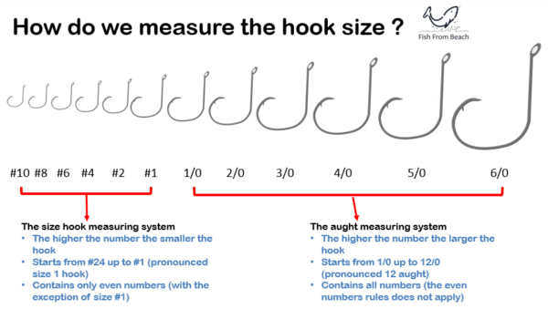 What Hook Size for Surf Fishing? – Fish From Beach