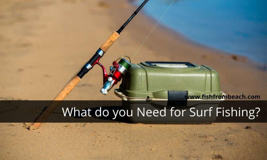 What Equipment do you Need for Surf Fishing? • Fish From Beach