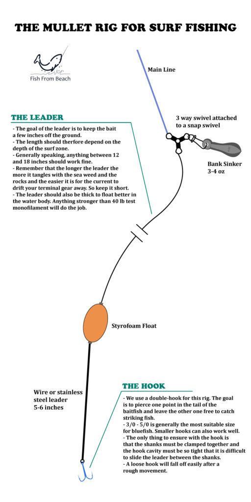 How to Set the Mullet Rig for Surf Fishing? – Fish From Beach