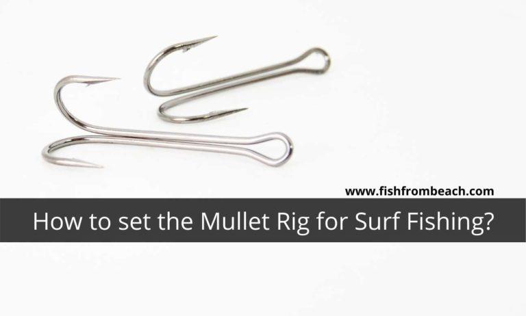 How to Set the Mullet Rig for Surf Fishing? • Fish From Beach