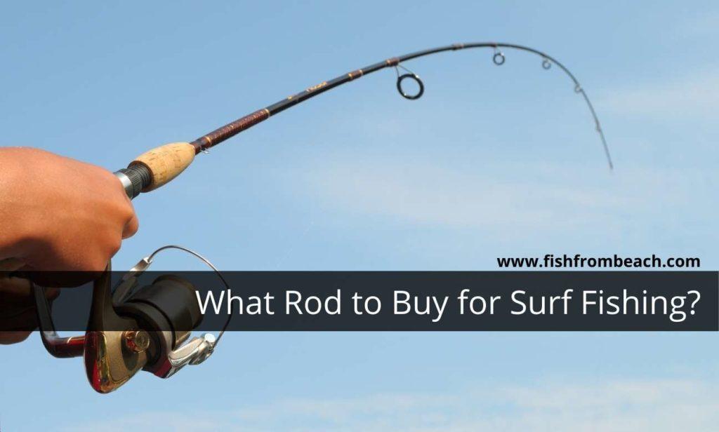 What Is The Best Rod For Surf Fishing A Buying Guide Fish From Beach