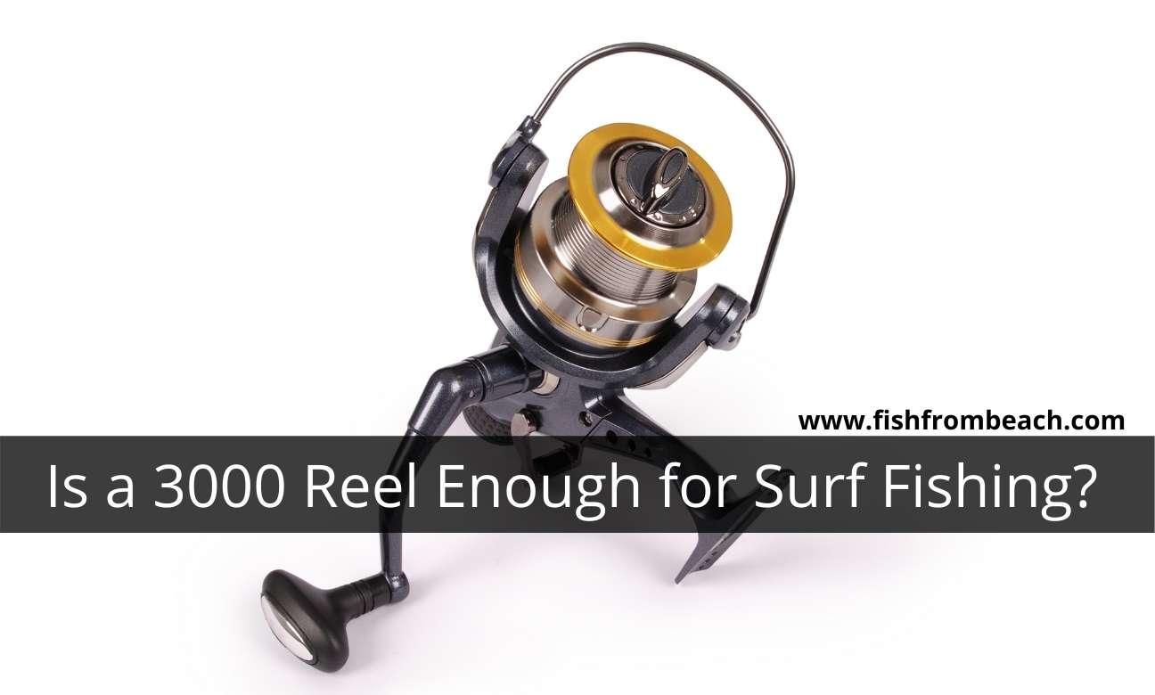 The 3 Rigs You Need for Surf Fishing