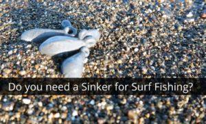 Do you Need a Sinker for Surf Fishing? – Fish From Beach