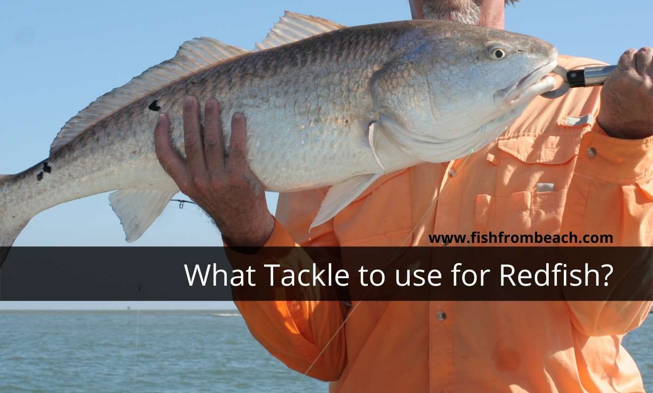 What Tackle do I Need for Redfish? – Fish From Beach